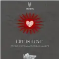 Life is Love