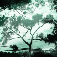 luna - Single - betterluckmason