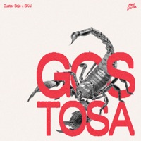 Gostosa - Single - Gustav Boje & SKAI