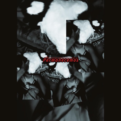 Permanecemos - Single