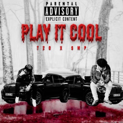 Play It Cool (feat. $MP) - Single