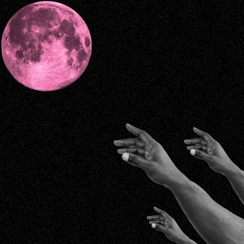 Reach For The Moon