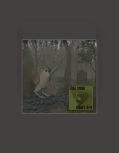 Dengarkan птица синица, tonton video musik, baca bio, lihat tanggal tur & lainnya!