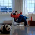 Talentul ala fin