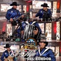 El Hijo Del Kondor (En Vivo) - Single - Paulino Rosas Y Su Estilo Norteño
