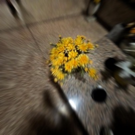 da dah (feat. cxltmoon & yunny goldz) kota_offica