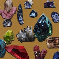 The Best of Times - Single - Cook&Jango