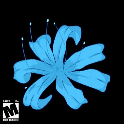 Run Away / The Mirror - Single