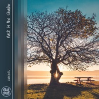 Back in the Shadow - Single - cløse2u