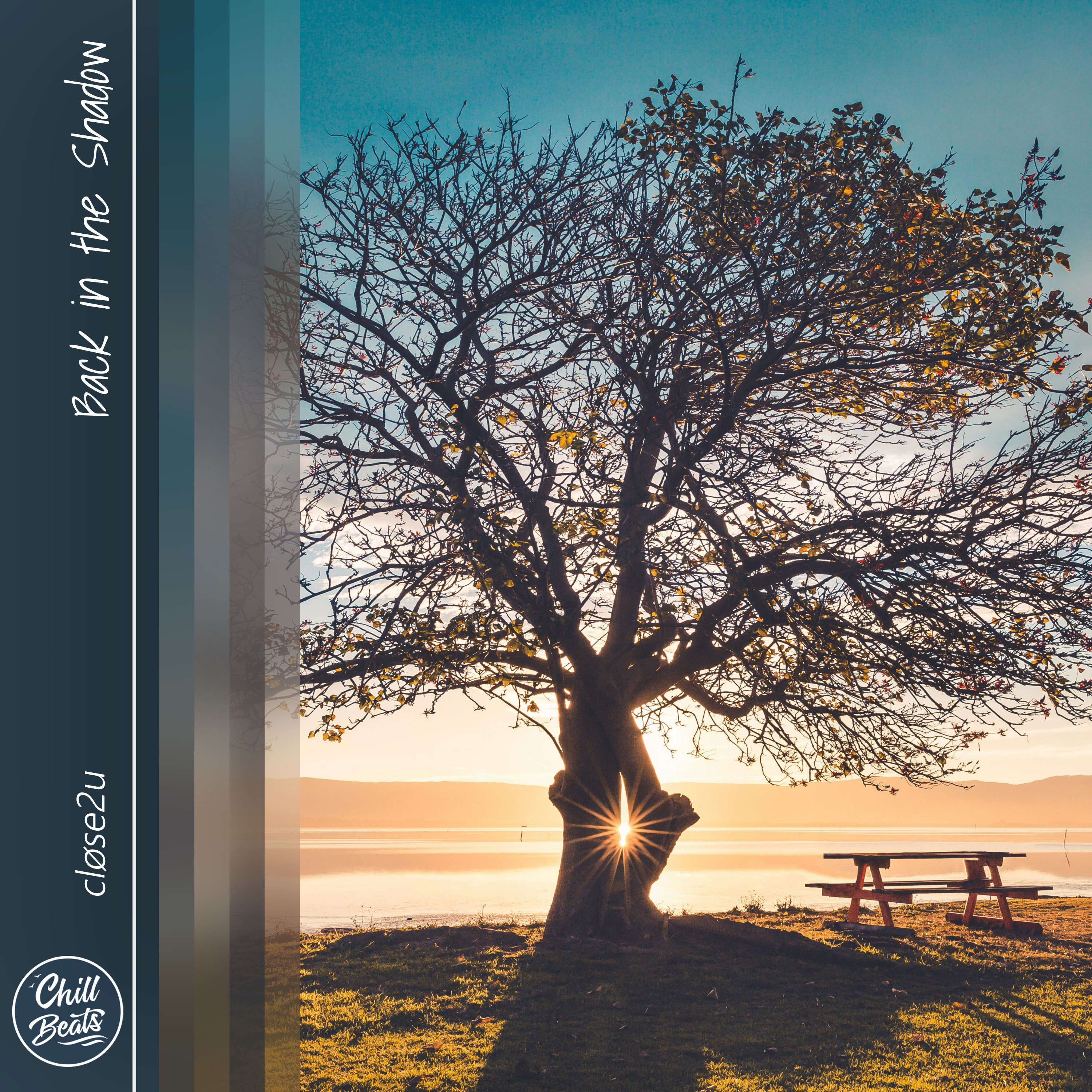 Back in the Shadow - Single