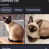 WHATS NXT? (Incomplete) - Single - 2ooDarkive