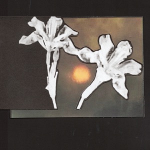 Loving You / Don't Let Me Go - Single
