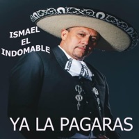 Indomable
