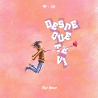 Desde que te ví (Tonyk Salazar Remix Special Version) - Single - Mi Jato Records