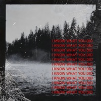 MeetMeInTheGlade - Single - k.v