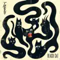 Black Cat