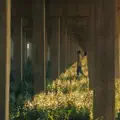 Secret Place
