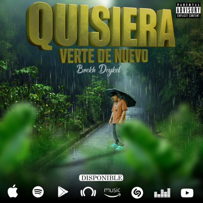 Quisiera verte de nuevo - Single