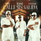 Calle sin Salida artwork