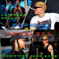 Sopaya En Rebeldia (feat. Jhon King & Ganster 100) - Single - Bregadollar