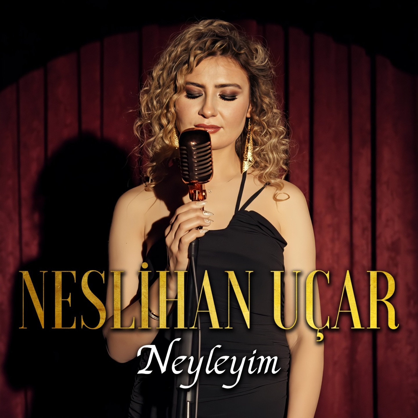 Neyleyim - Single