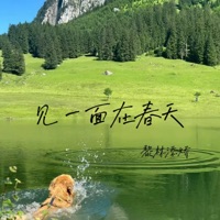 见一面在春天 - Single - Li Lin Tianjiao