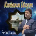 Kurbanın Olayım