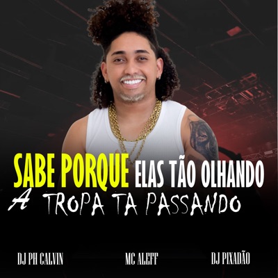 Sabe Porque Elas Tão Olhando a Tropa Ta Passando - Single