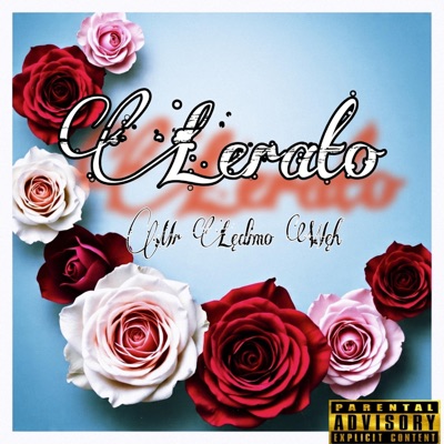 Lerato (feat. Phvlv-Fvlv & Sgogi Gaupo) - Single