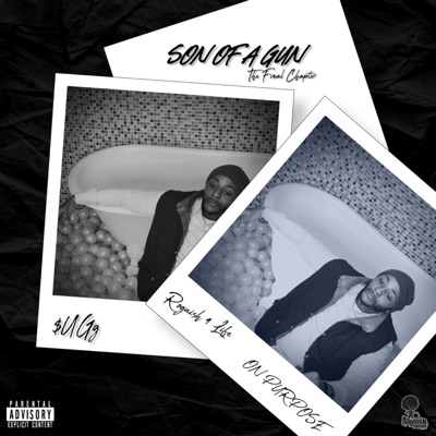 Son of a Gun: The Final Chapter