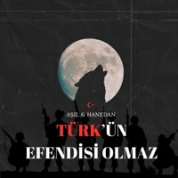 Türk'ün Efendisi Olmaz (feat. Aşıl) - Single - Hanedan Doğan