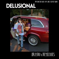 Delusional Beat - Single - BRAYD0