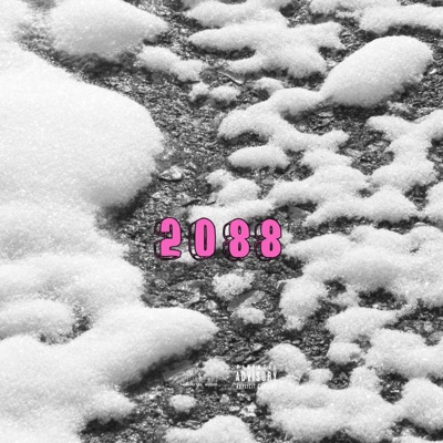 2088 - Single