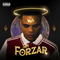 SIN FORZAR - Single - Epidemic77