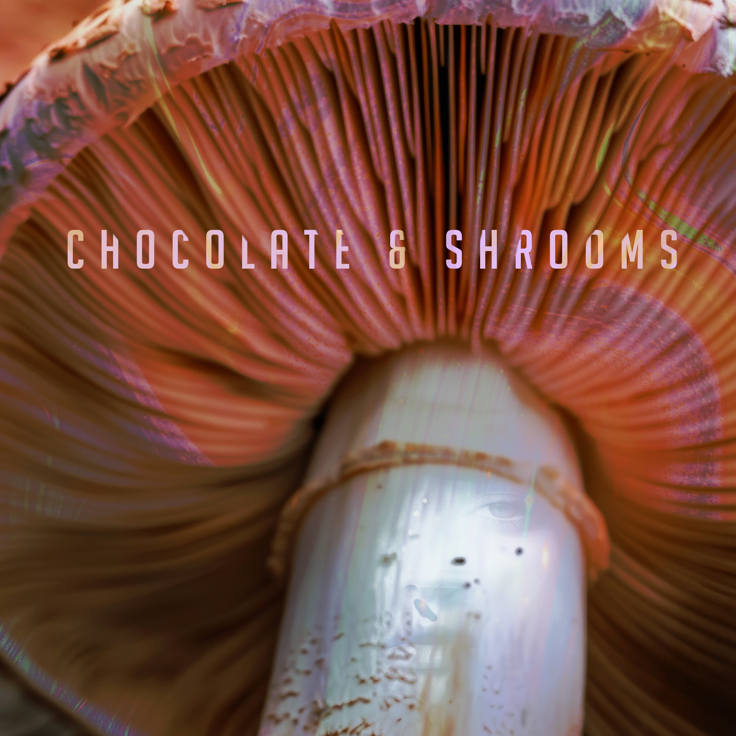 Chocolate & Shrooms - Single