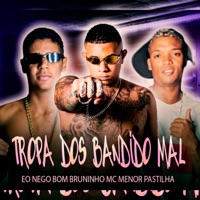 Tropa dos Bandido Mal - Single - Bruninho Mc, Eo Nego Bom & menor pastilha