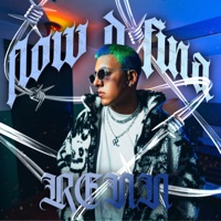 Flow d fina - Single - Renn