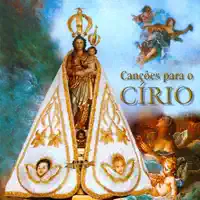 O Amor Precisa Ser Amado