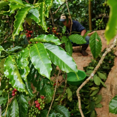Tomie Music - Sống trật tui lật bàn thờ anh luôn