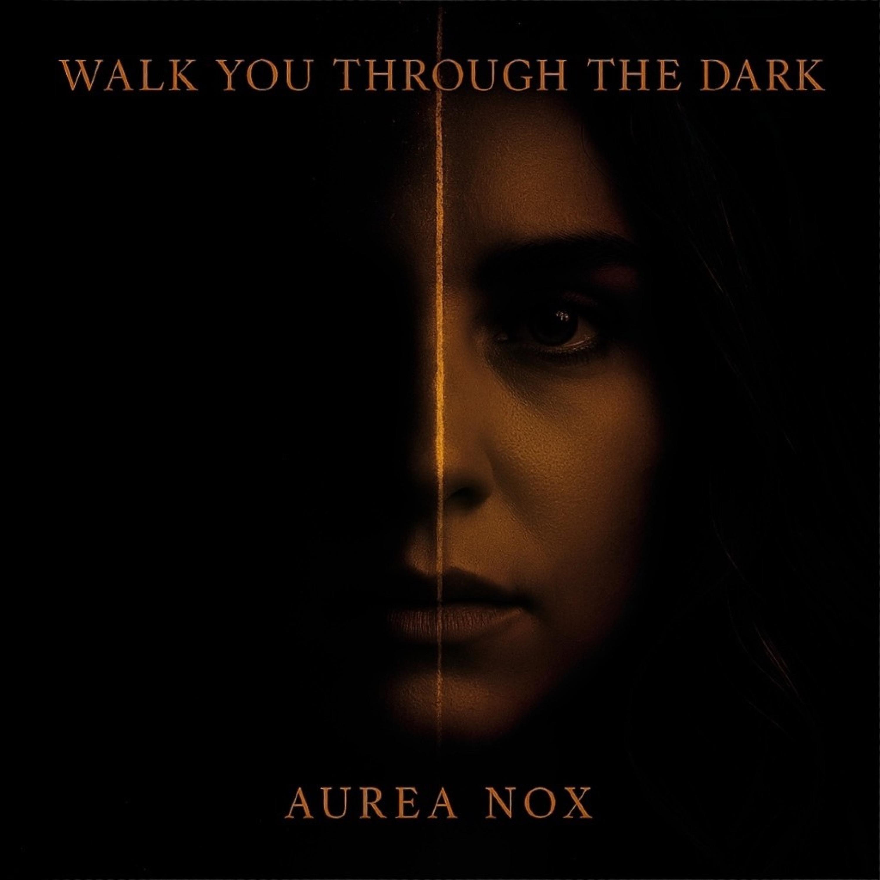 Walk You Through the Dark - Single