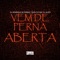 Vem de Perna Aberta - Dj Henrique de ferraz, Cadu DJ & mc pl alves lyrics