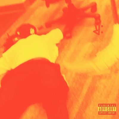 THE COOKENING: A NEW BRICK INSTRUMENTALS (Instrumental)