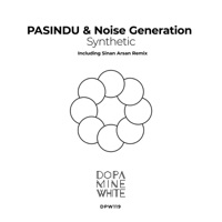 Synthetic - Single - PASINDU & Noise Generation