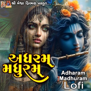 Adharam Madhuram Lofi - Single