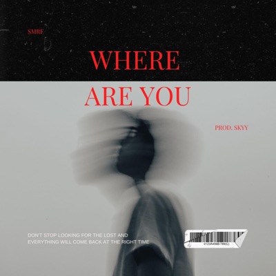 Where Are You (feat. SKYY) - Single