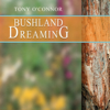Tony O'Connor - Bushland Dreaming artwork