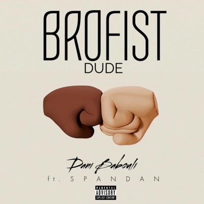 Brofist Dude (feat. Spandan) - Single
