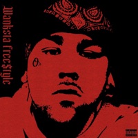 Wanksta Freestyle - Single - CienBadazz