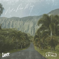 Not a Poor Man - Single - LAVA & The Steppas