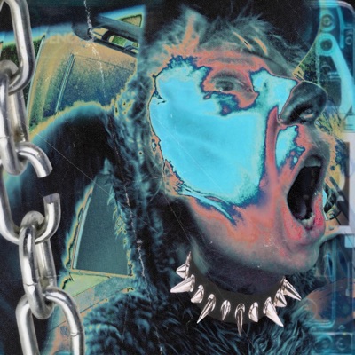 No Dogs Allowed - Single